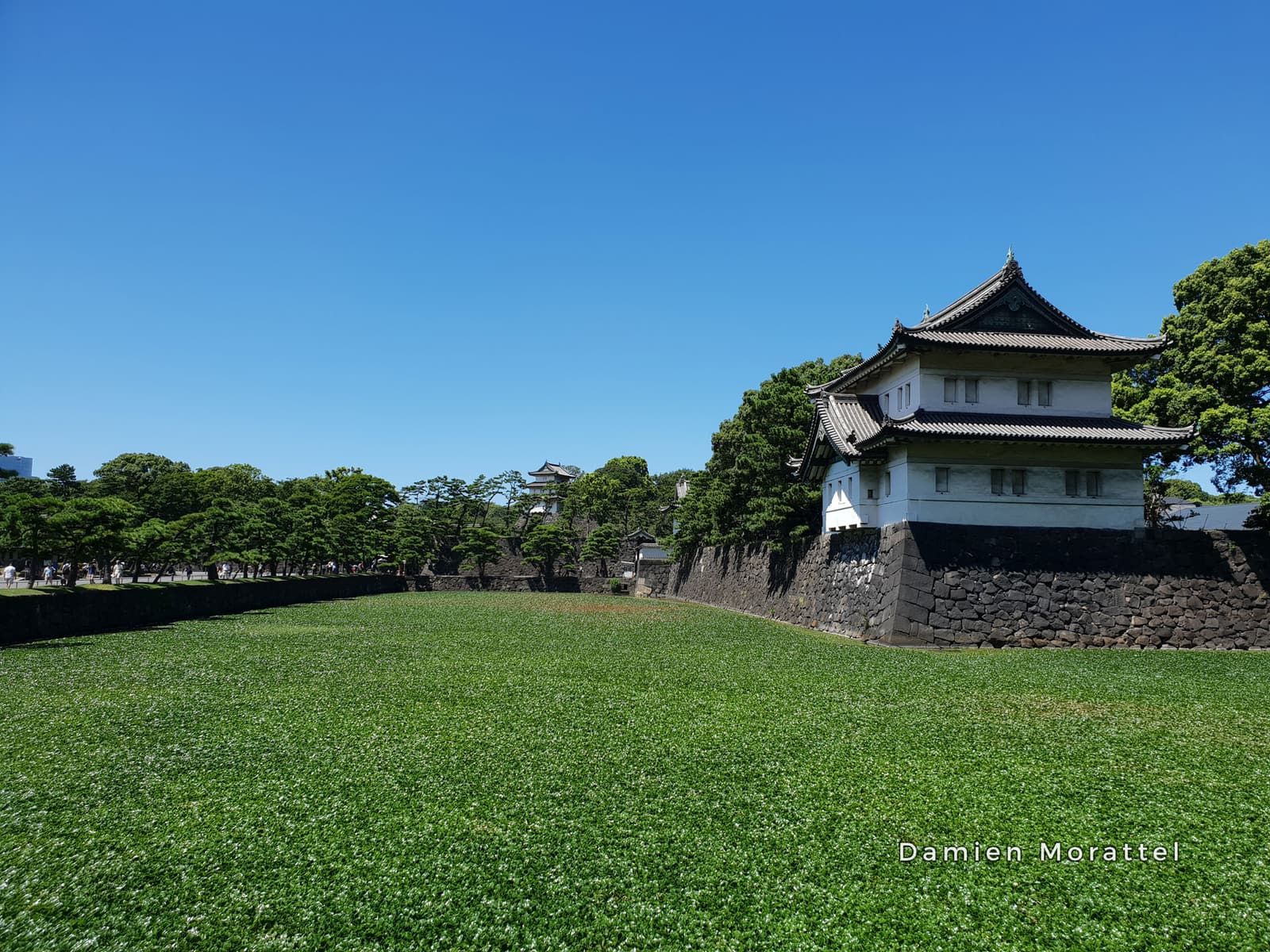 A castle corner tower at the end of a lawn