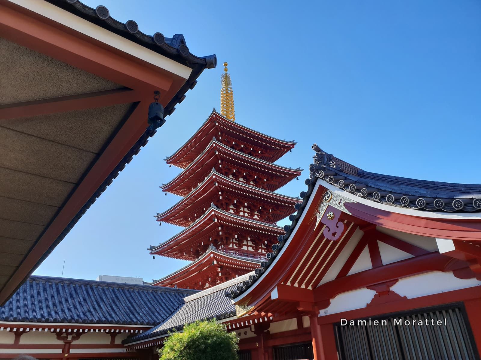The pagoda and the temple roofs