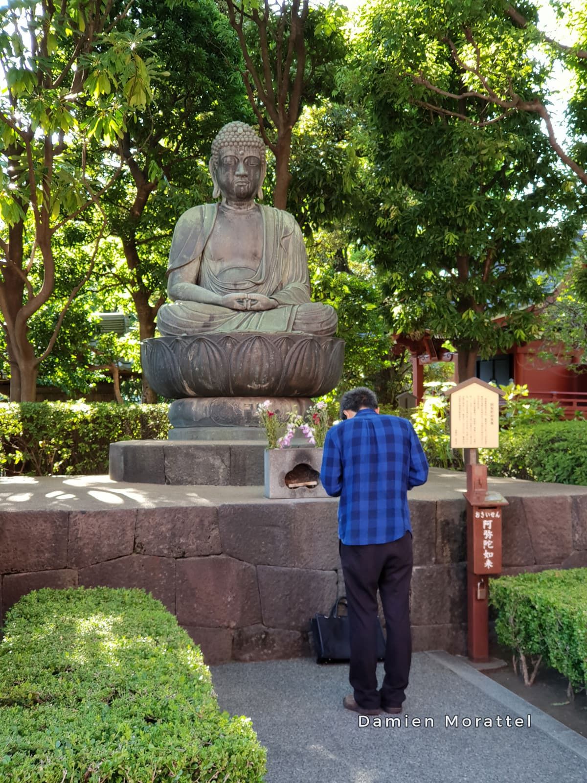 A seated Buddha statue in a garden
