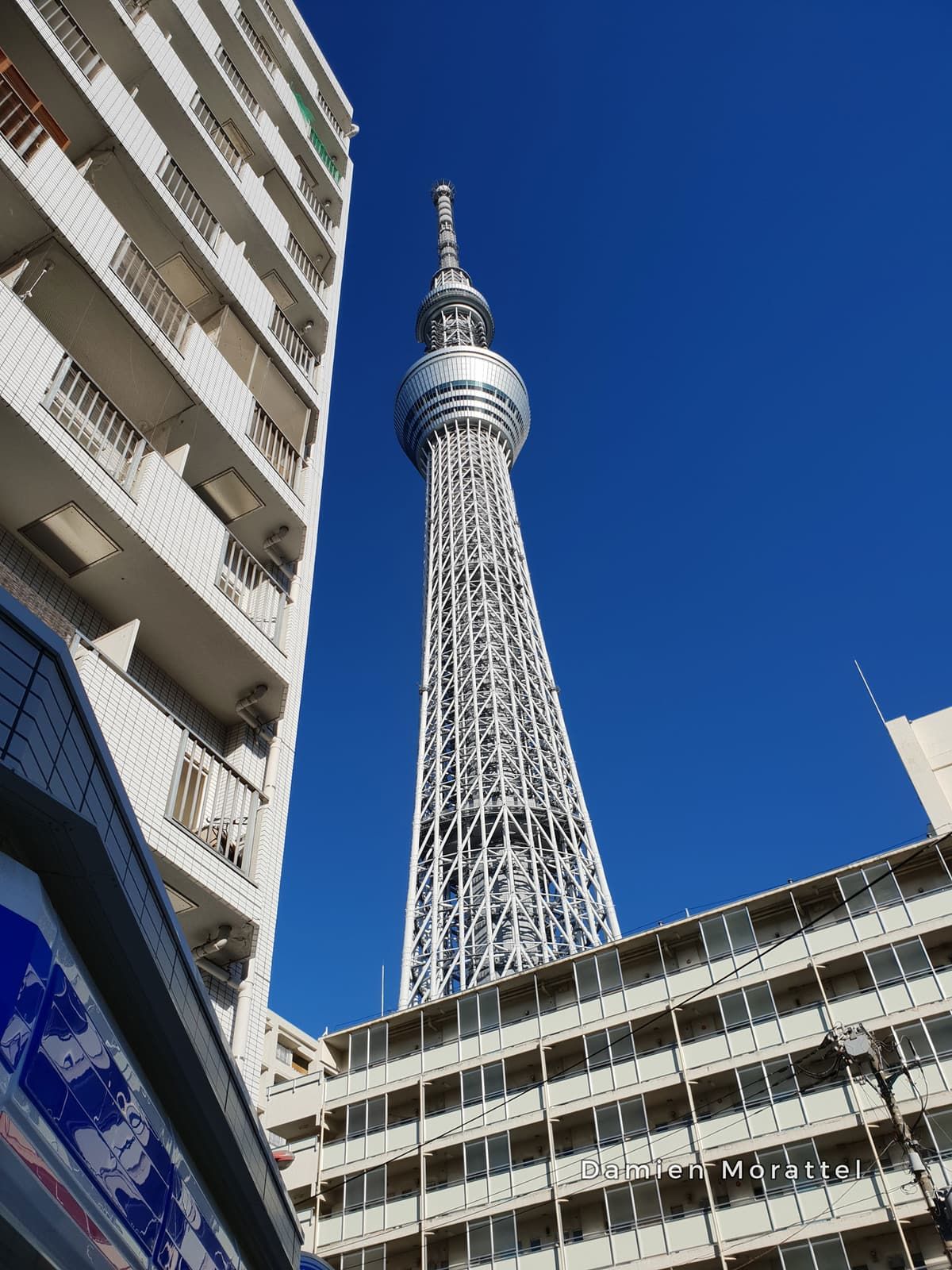 The Tokyo Skytree between two buildings