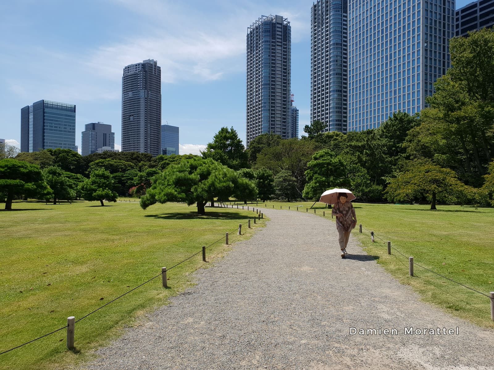 A garden path at the foot of the towers