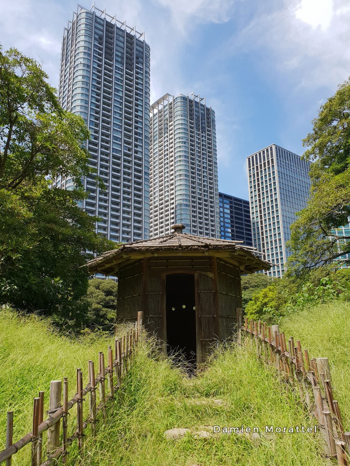 A wooden hut in a garden, towers behind