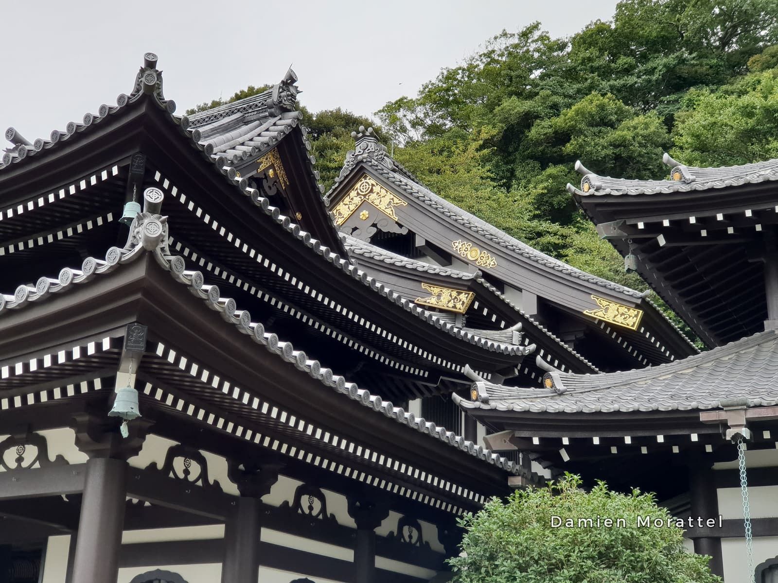 Temple roofs among the trees