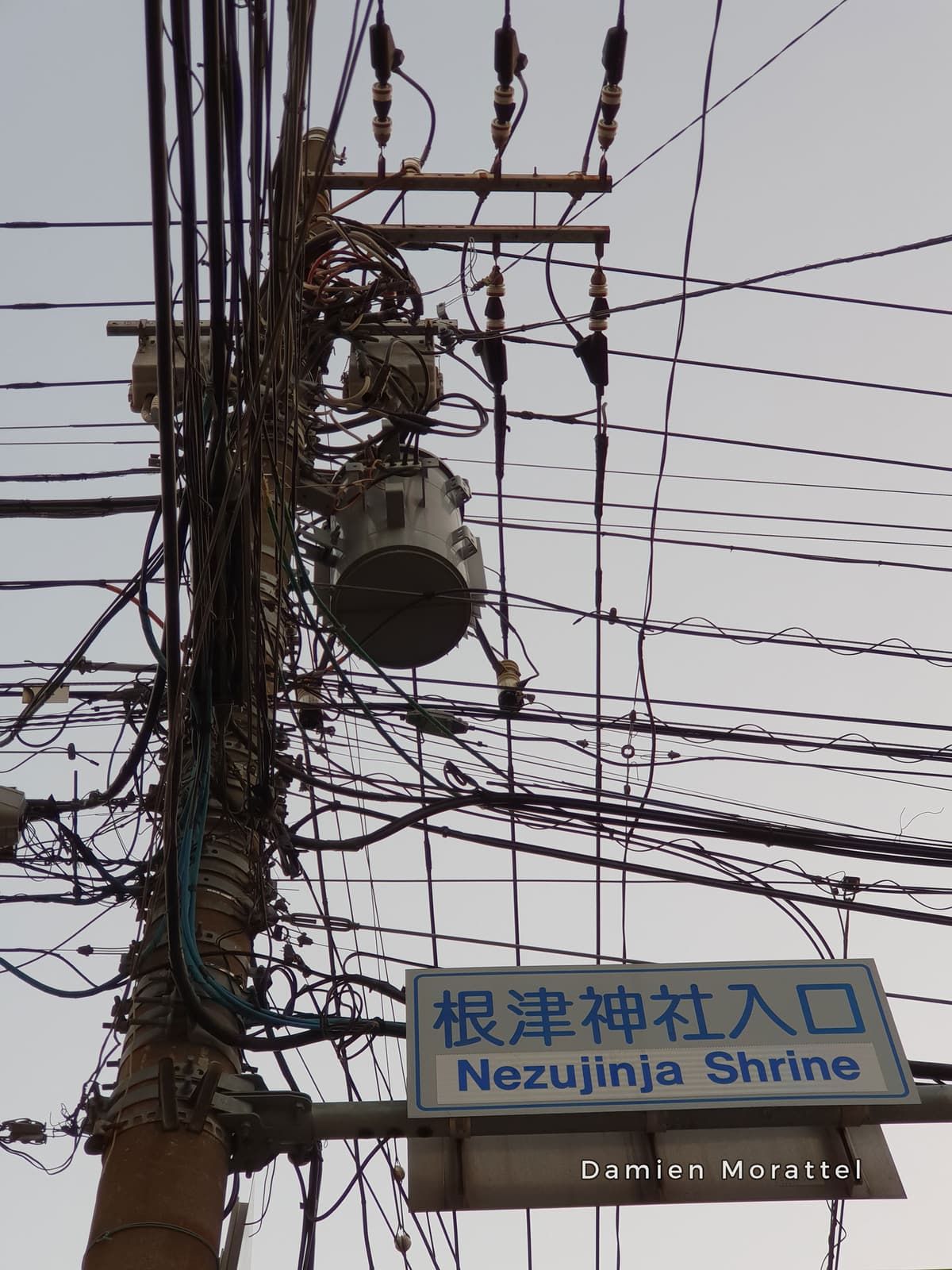 A tangle of power lines