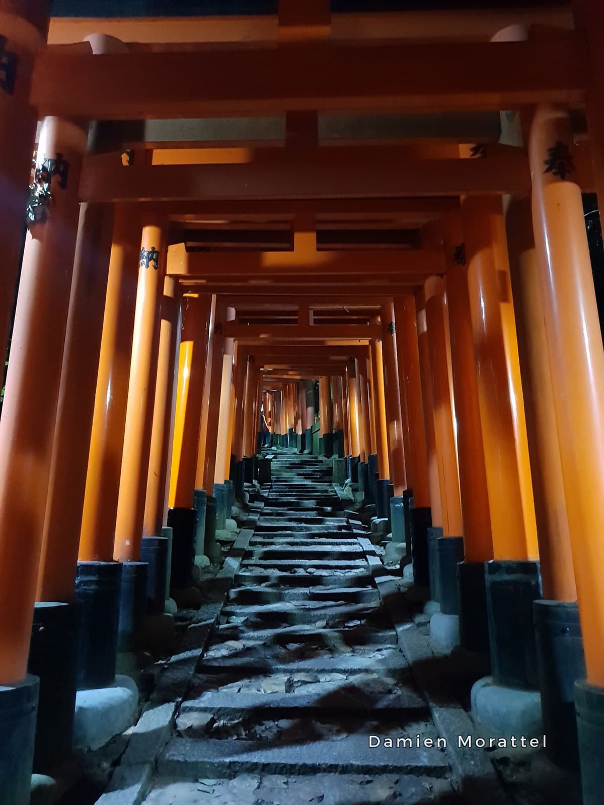 A tunnel of vermilion torii gates