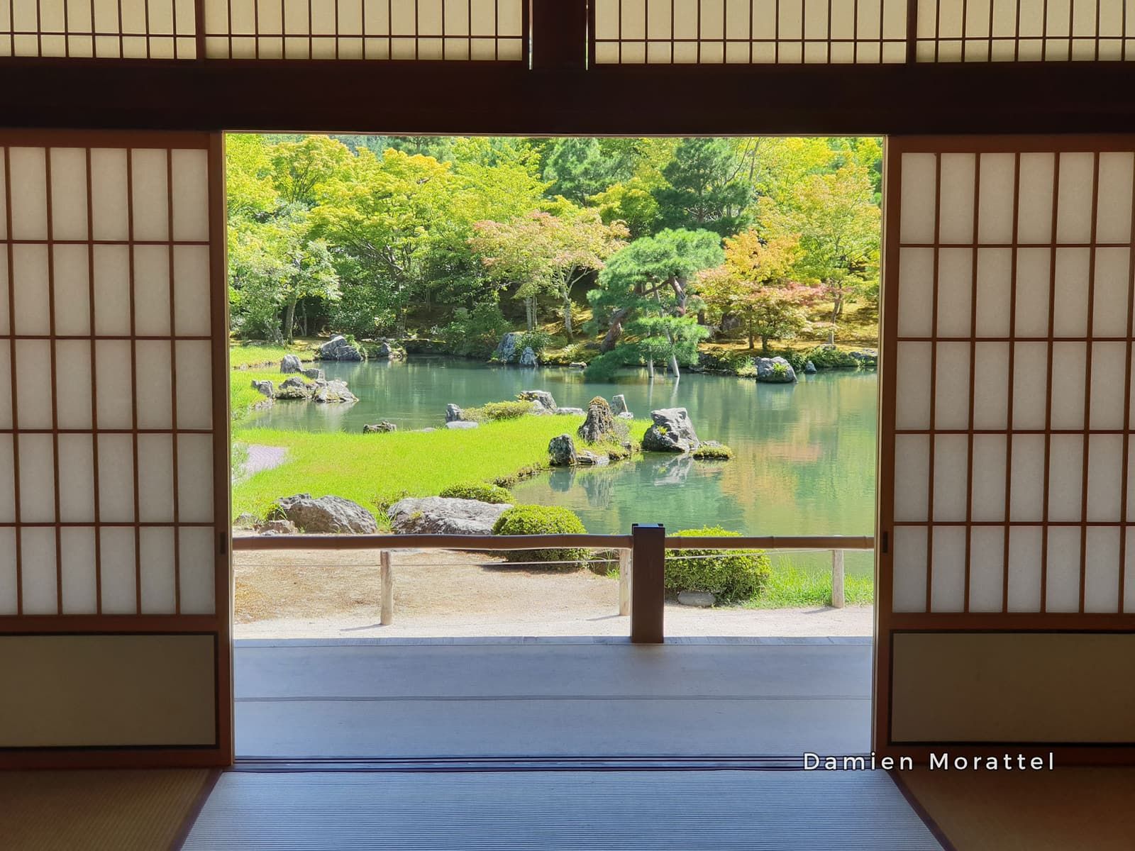 A garden seen through open sliding doors