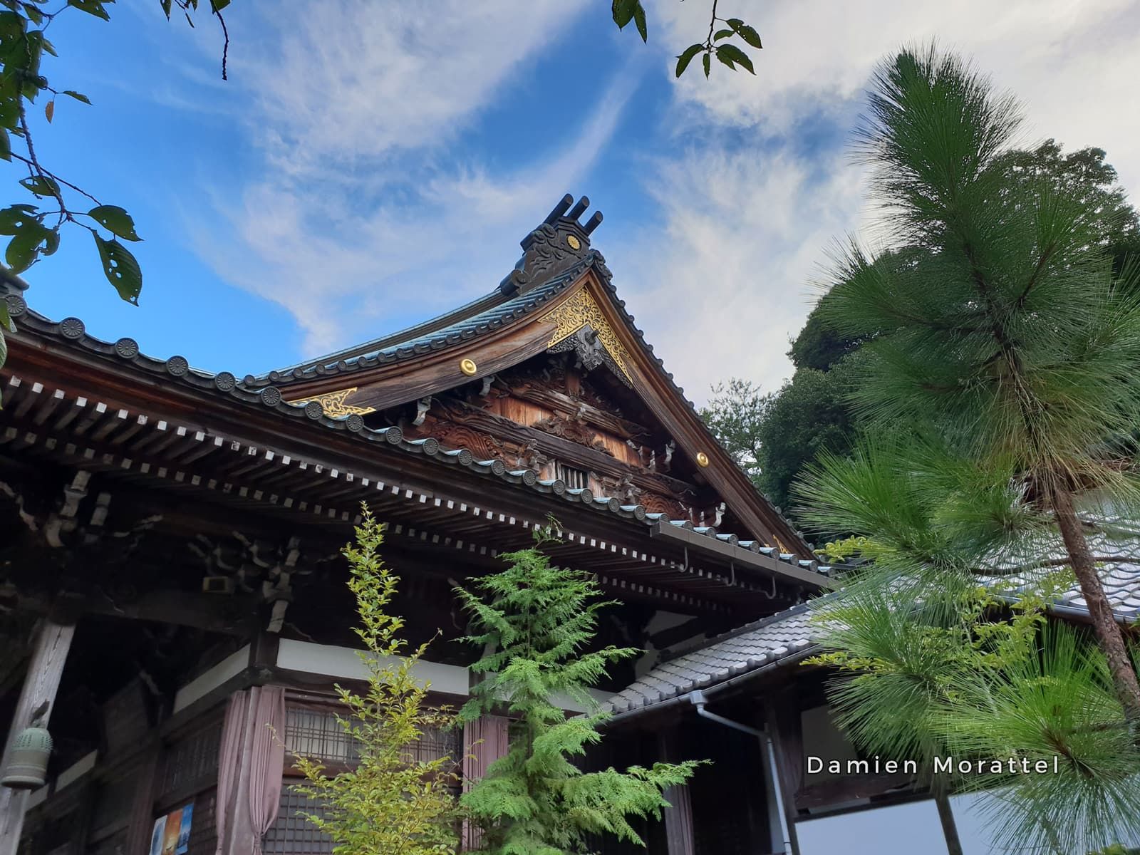 A temple roof and pine trees