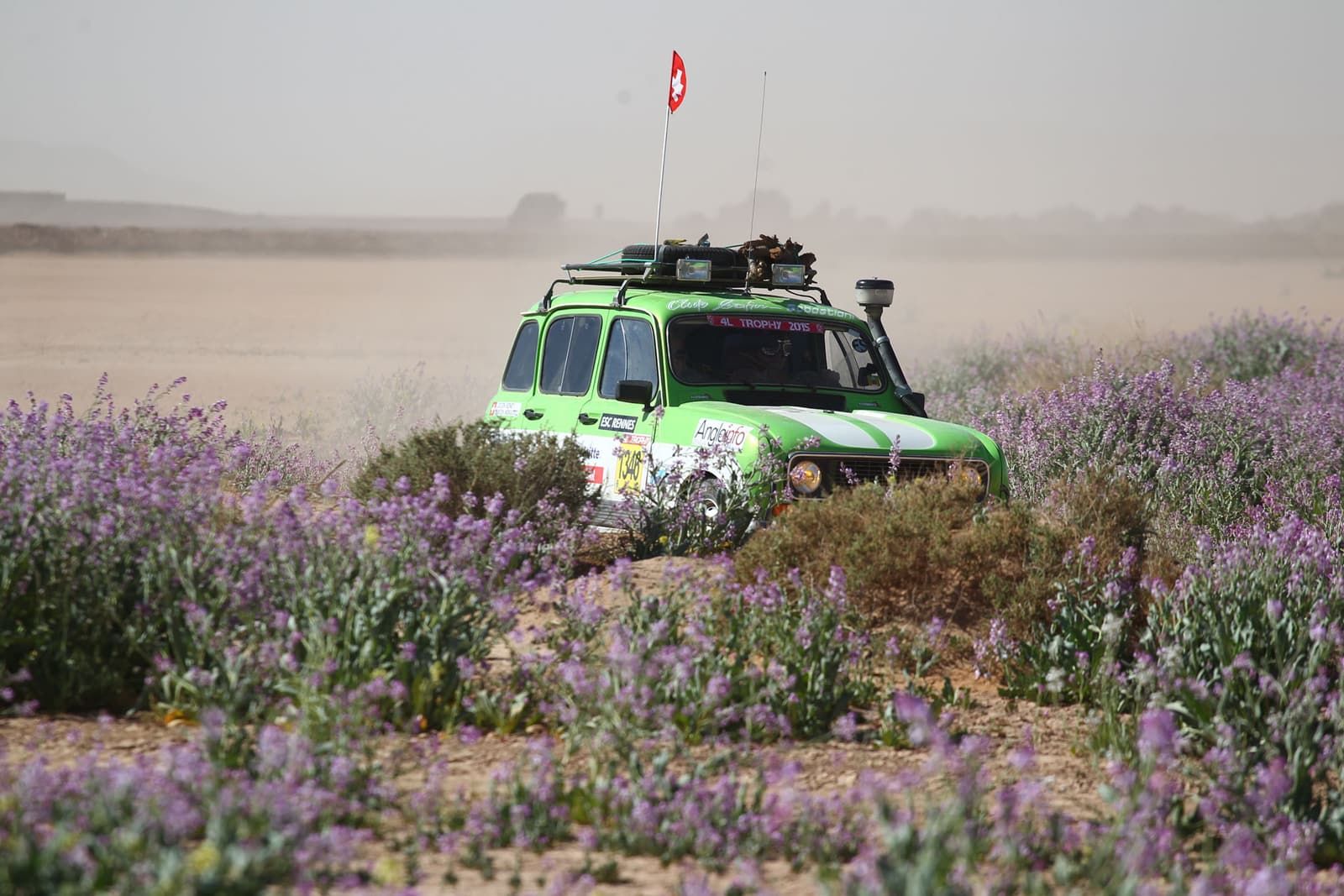 The Renault 4 in a field of purple flowers